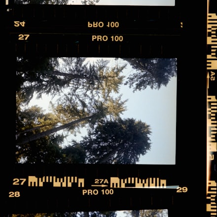 Faro, 35mm